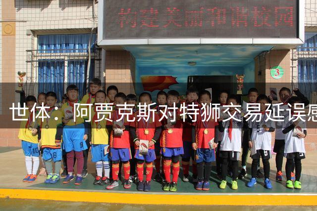 世体：阿贾克斯对特狮交易延误感到不解，并强调耐心并非无限