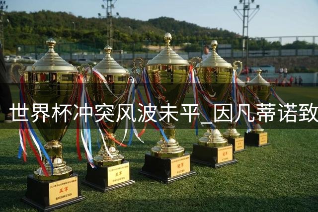 世界杯冲突风波未平 因凡蒂诺致函阿根廷足协引争议