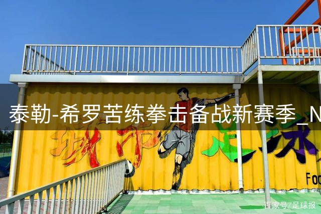 泰勒-希罗苦练拳击备战新赛季 NBA训练师晒照点赞全能提升